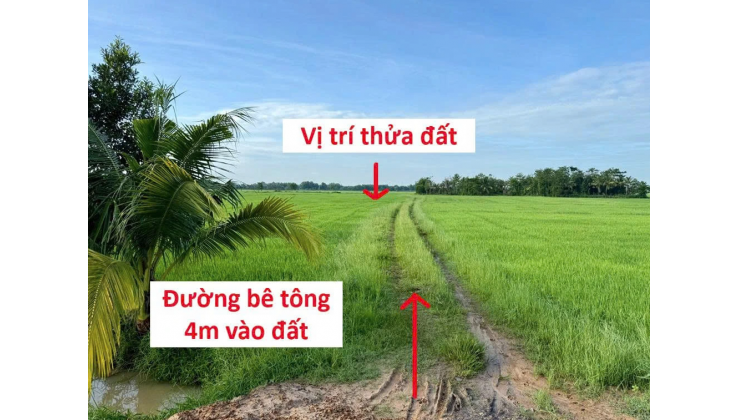BÁN ĐẤT CHÍNH CHỦ KHÔNG QUA MÔI GIỚI, CẦN RA GẤP GIÁ TỐT